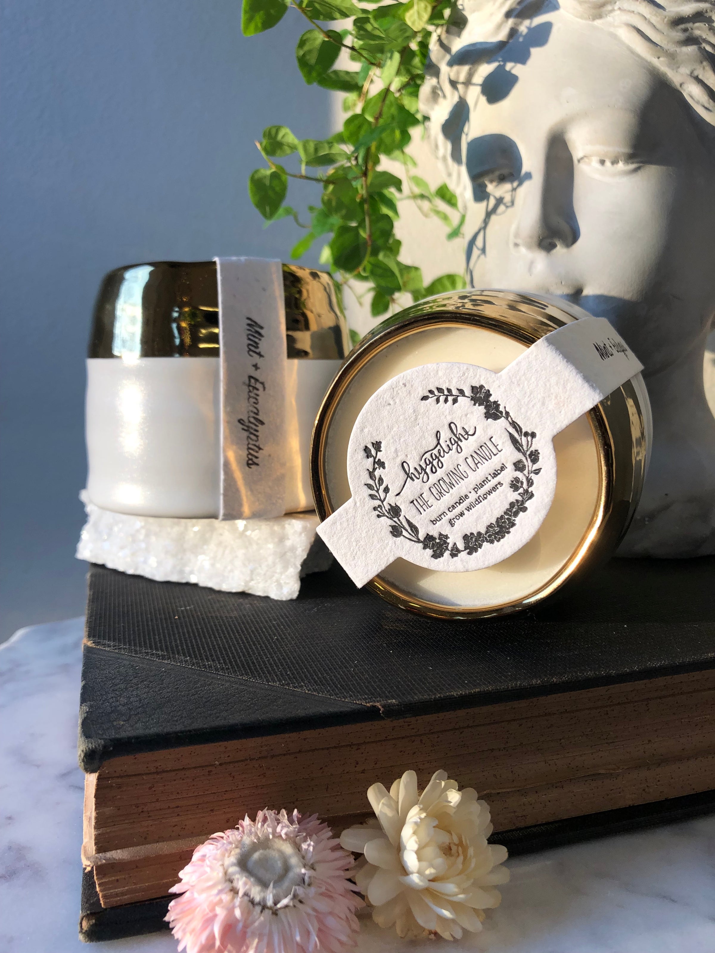 ライトエンパワメントトリートメントパウダー 1 ライト ライトエンパワメントトリートメントパウダー 1 ライト